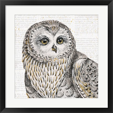 Framed Beautiful Owls II Print