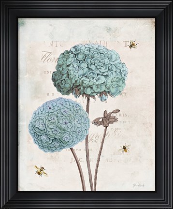 Framed Geranium Study II Print