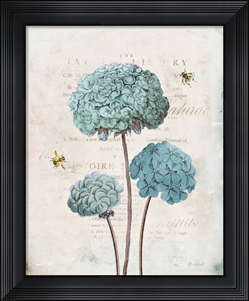 Framed Geranium Study I Print