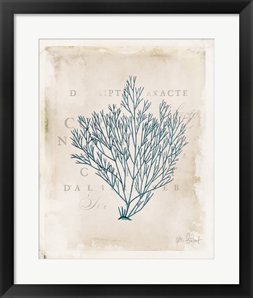 Framed Sea Garden II Print