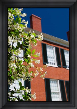 Framed Spring Pilgrimage, &#39;Rosalie&#39; house, 1820, Natchez, Mississippi Print