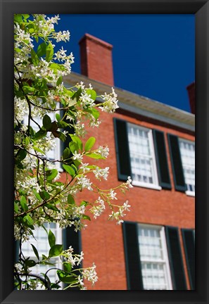 Framed Spring Pilgrimage, &#39;Rosalie&#39; house, 1820, Natchez, Mississippi Print