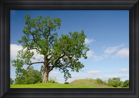 Framed Mississippi, Greenville Winterville Mounds Print