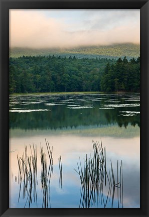 Framed Fog obscures the summit of Mt Monadnock, New Hampshire Print