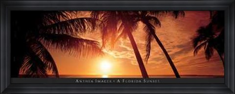 Framed Florida Sunset Print