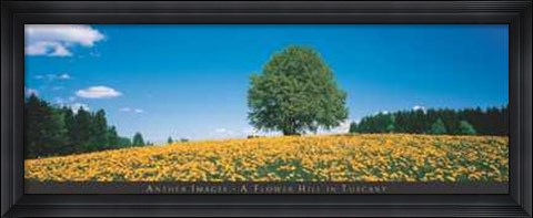 Framed Flower Hill in Tuscany Print