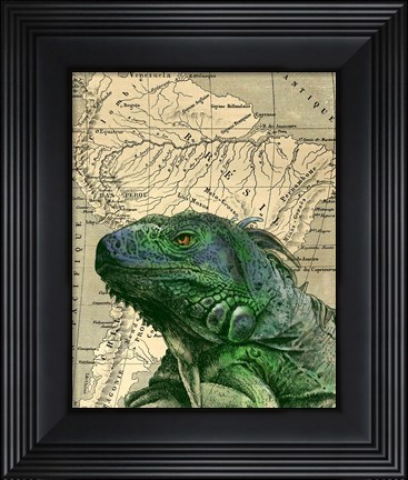 Framed Brazilian Iguana Print