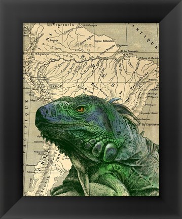 Framed Brazilian Iguana Print