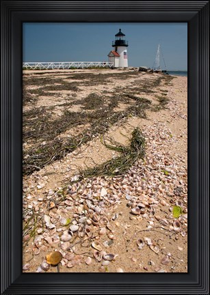 Framed Nantucket Shell in front of Brant Point lighthouse Print