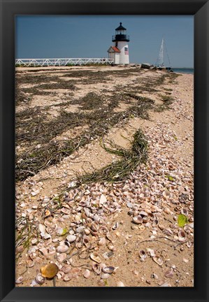 Framed Nantucket Shell in front of Brant Point lighthouse Print