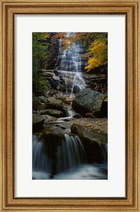 Framed Waterfall in a forest, Arethusa Falls, Crawford Notch State Park, New Hampshire, New England Print