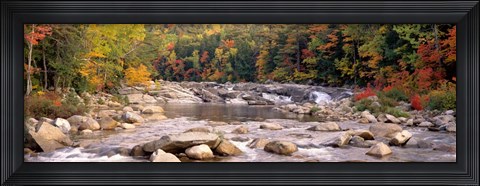 Framed New Hampshire, White Mountains National Forest, River flowing through the wilderness Print