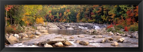 Framed New Hampshire, White Mountains National Forest, River flowing through the wilderness Print