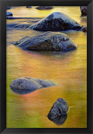 Framed Swift River, White Mountain Forest, New Hampshire Print