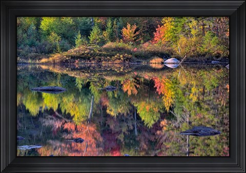 Framed Shoreline reflection, Lily Pond, White Mountain National Forest, New Hampshire Print