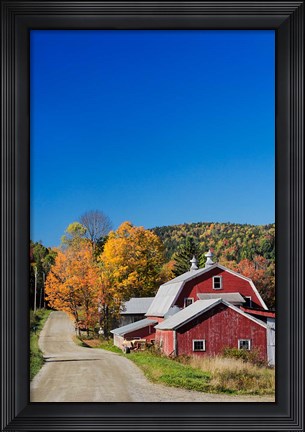 Framed Rural barn in autumn, New Hampshire Print
