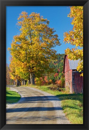 Framed Road beside Classic Farm in Autumn, New Hampshire Print