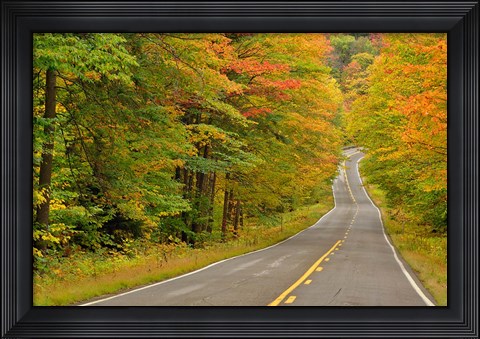 Framed Roadway through White Mountain National Forest, New Hampshire Print