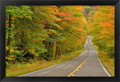 Framed Roadway through White Mountain National Forest, New Hampshire Print