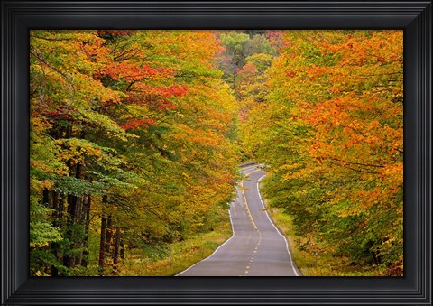 Framed White Mountain National Forest, New Hampshire Print