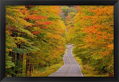 Framed White Mountain National Forest, New Hampshire Print