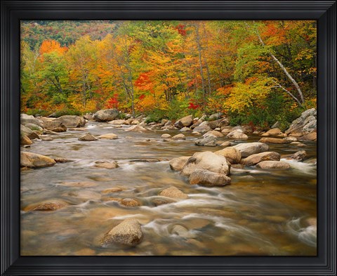 Framed River flowing through Forest in Autumn, White Mountains National Forest, New Hampshire Print