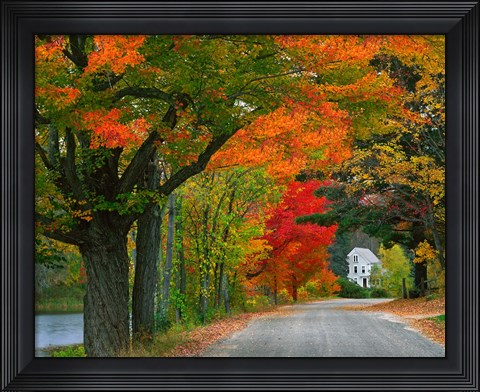 Framed New Hampshire, Andover Autumn color, England home Print