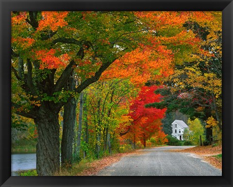 Framed New Hampshire, Andover Autumn color, England home Print