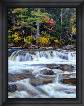 Framed Lower Swift River Falls, White Mountains, New Hampshire Print