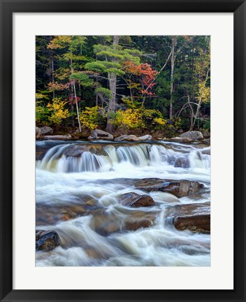Framed Lower Swift River Falls, White Mountains, New Hampshire Print