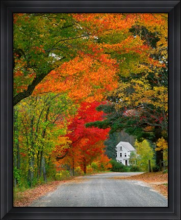 Framed Road lined in fall color, Andover, New England, New Hampshire Print