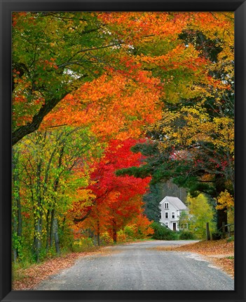 Framed Road lined in fall color, Andover, New England, New Hampshire Print