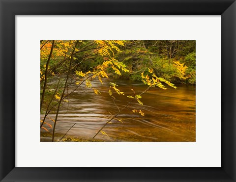 Framed New Hampshire, White Mountain National Forest River Print