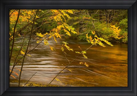 Framed New Hampshire, White Mountain National Forest River Print
