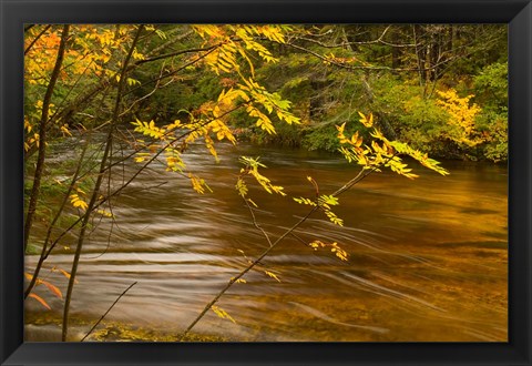 Framed New Hampshire, White Mountain National Forest River Print