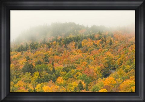 Framed New Hampshire, White Mountain National Forest, Autumn Print