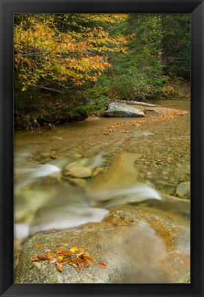 Framed New Hampshire; Lincoln; Franconia Notch Print