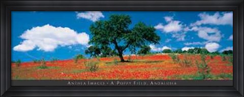 Framed Poppy Field, Andalusia Print