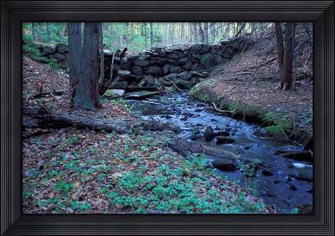 Framed Banks of Lamprey River, National Wild and Scenic River, New Hampshire Print