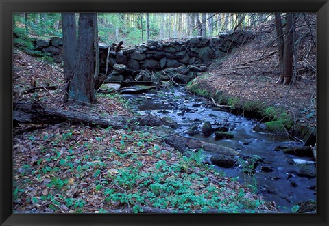 Framed Banks of Lamprey River, National Wild and Scenic River, New Hampshire Print