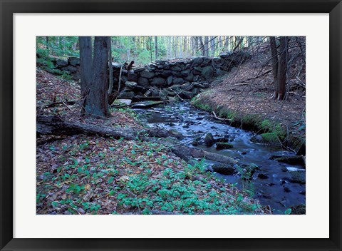 Framed Banks of Lamprey River, National Wild and Scenic River, New Hampshire Print