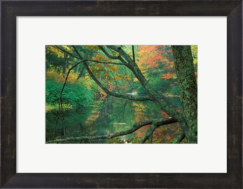 Framed Fall Along the Lamprey River in Durham, New Hampshire Print