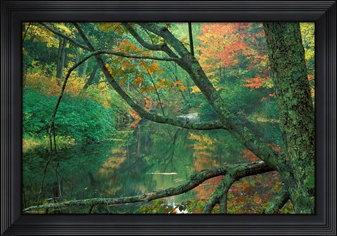 Framed Fall Along the Lamprey River in Durham, New Hampshire Print