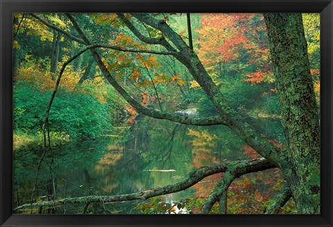 Framed Fall Along the Lamprey River in Durham, New Hampshire Print