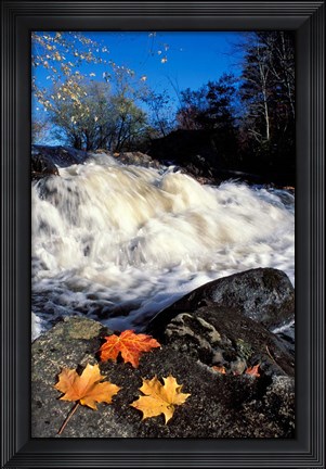 Framed Maple Leaves and Wadleigh Falls on the Lamprey River, New Hampshire Print