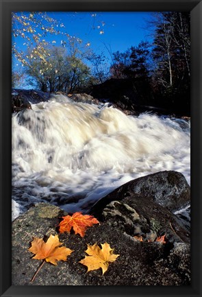 Framed Maple Leaves and Wadleigh Falls on the Lamprey River, New Hampshire Print