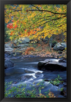 Framed Packers Falls on the Lamprey River, New Hampshire Print