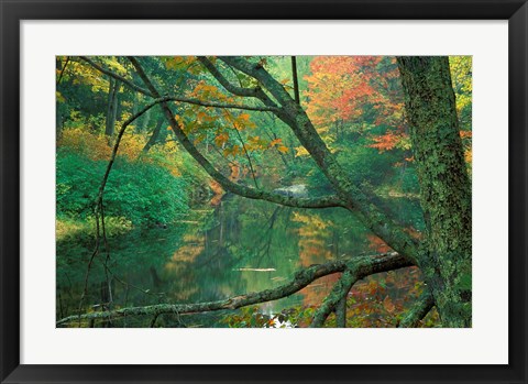 Framed Fall on the Lamprey River below Wiswall Dam, New Hampshire Print