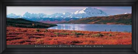 Framed Denali National Park, Alaska Print