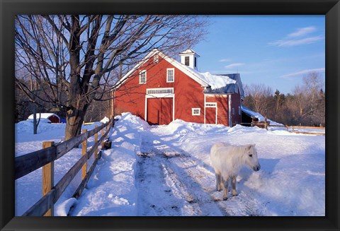 Framed Pony and Barn near the Lamprey River in Winter, New Hampshire Print